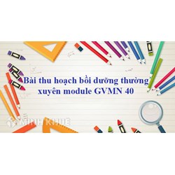 Bài thu hoạch bồi dưỡng thường xuyên tiểu học module 40 mới