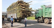Chở hàng vượt quá chiều cao bao nhiêu thì bị xử phạt?