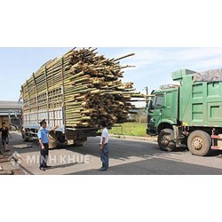 Chở hàng vượt quá chiều cao bao nhiêu thì bị xử phạt?