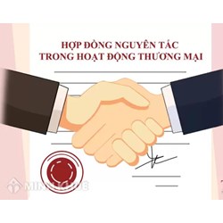 Hợp đồng nguyên tắc là gì? Phân biệt với hợp đồng kinh tế