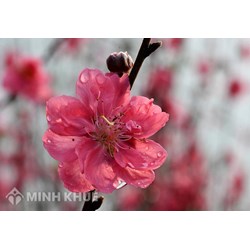 Mẫu báo cáo tổng kết cuối năm mới nhất năm 2025
