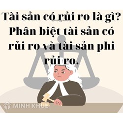 Tài sản có rủi ro là gì? Phân biệt tài sản rủi ro và tài sản phi rủi ro?