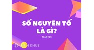Số nguyên tố là gì? Thừa số nguyên tố là gì? Bảng số nguyên tố Toán lớp 6