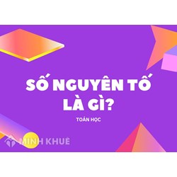 Số nguyên tố là gì? Thừa số nguyên tố là gì? Bảng số nguyên tố Toán lớp 6