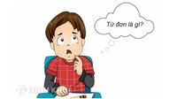 Từ đơn và từ phức là gì? Cách phân biệt, ví dụ minh họa
