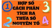 Hợp số là gì? Cách phân tích một số ra thừa số nguyên tố nhanh nhất Toán lớp 6