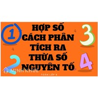 Hợp số là gì? Cách phân tích một số ra thừa số nguyên tố nhanh nhất Toán lớp 6