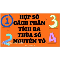 Hợp số là gì? Cách phân tích một số ra thừa số nguyên tố nhanh nhất Toán lớp 6
