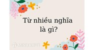 Từ nhiều nghĩa là gì? Lấy ví dụ về từ nhiều nghĩa Tiếng Việt lớp 5