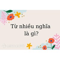 Từ nhiều nghĩa là gì? Lấy ví dụ về từ nhiều nghĩa Tiếng Việt lớp 5