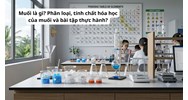 Muối là gì? Phân loại, tính chất hóa học của muối và bài tập thực hành?