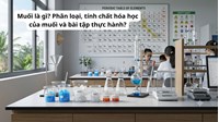 Muối là gì? Phân loại, tính chất hóa học của muối và bài tập thực hành?