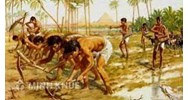 Xã hội nguyên thủy đã trải qua những giai đoạn nào? Lịch sử lớp 6