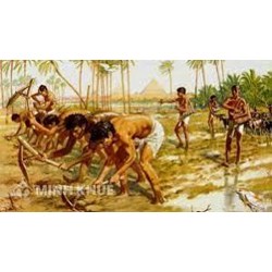 Xã hội nguyên thủy đã trải qua những giai đoạn nào? Lịch sử lớp 6