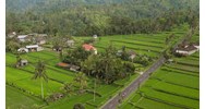 Tội vi phạm các quy định về sử dụng đất đai theo Điều 228 BLHS