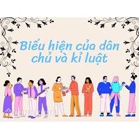 Biểu hiện của dân chủ và kỉ luật là gì? Cho ví dụ GDCD lớp 9