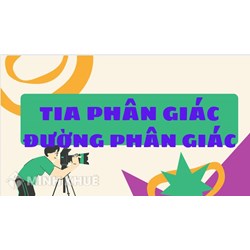 Tia phân giác là gì? Đường phân giác là gì? Tính chất đường phân giác của tam giác