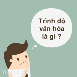 Cách ghi trình độ văn hóa trong sơ yếu lý lịch đúng luật?