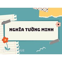 Nghĩa tường minh là gì? Ví dụ nghĩa tường minh và phân tích hàm ý