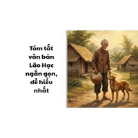 Top 10 mẫu tóm tắt văn bản Lão Hạc ngắn gọn, dễ hiểu nhất