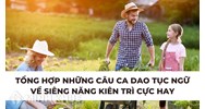 Tổng hợp những câu ca dao tục ngữ về siêng năng kiên trì cực hay