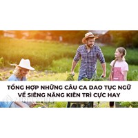Tổng hợp những câu ca dao tục ngữ về siêng năng kiên trì cực hay