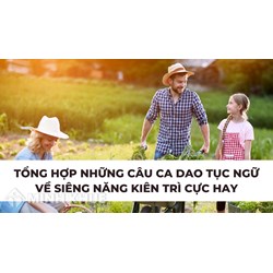 Tổng hợp những câu ca dao tục ngữ về siêng năng kiên trì cực hay