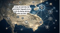 Ví dụ về mối liên hệ phổ biến? Nguyên lý có tính đa dạng, phong phú tại sao?