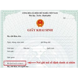 Tra cứu số định danh cá nhân cho trẻ em như thế nào?