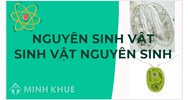 Nguyên sinh vật là gì? Sinh vật nguyên sinh là gì?