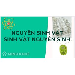 Nguyên sinh vật là gì? Sinh vật nguyên sinh là gì?