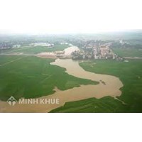 Mạng lưới sông ngòi nước ta có đặc điểm gì? Địa lý lớp 8