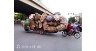 Xe thô sơ là xe gì? Có những loại xe thô sơ nào? Đi làn đường nào?