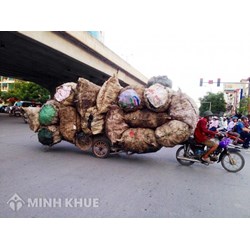 Xe thô sơ là xe gì? Có những loại xe thô sơ nào? Đi làn đường nào?