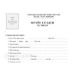 Mẫu sơ yếu lý lịch cán bộ, công chức mẫu 2c-BNV/2008 mới nhất