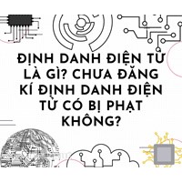 Định danh điện tử là gì? Chưa đăng ký tài khoản định danh điện tử có bị phạt không?