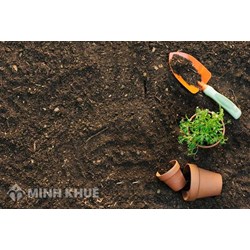 Đất nào giữ nước tốt? Loại đất nào sau đây giữ nước tốt nhất?
