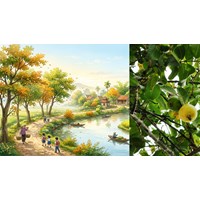 Cảm nhận về bài thơ Sang thu chọn lọc hay nhất