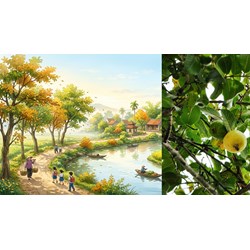 Cảm nhận về bài thơ Sang thu chọn lọc hay nhất