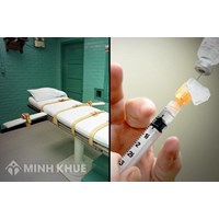 Thời hạn để bản án tử hình được đưa ra thi hành là bao lâu?