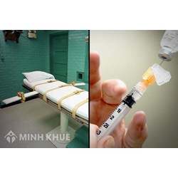 Thời hạn để bản án tử hình được đưa ra thi hành là bao lâu?