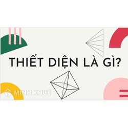 Thiết diện là gì? Cách xác định thiết diện dễ hiểu, chính xác nhất