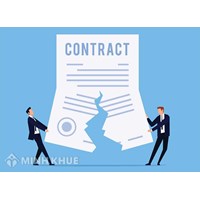 Mẫu đơn xin chấm dứt hợp đồng lao động, làm việc năm 2024