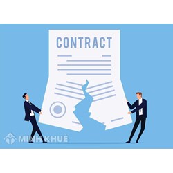 Mẫu đơn xin chấm dứt hợp đồng lao động, làm việc năm 2024