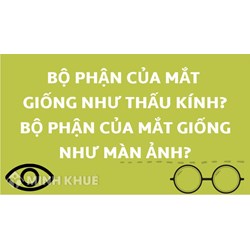 Bộ phận của mắt giống như thấu kính là? Bộ phận của mắt giống như màn ảnh là?