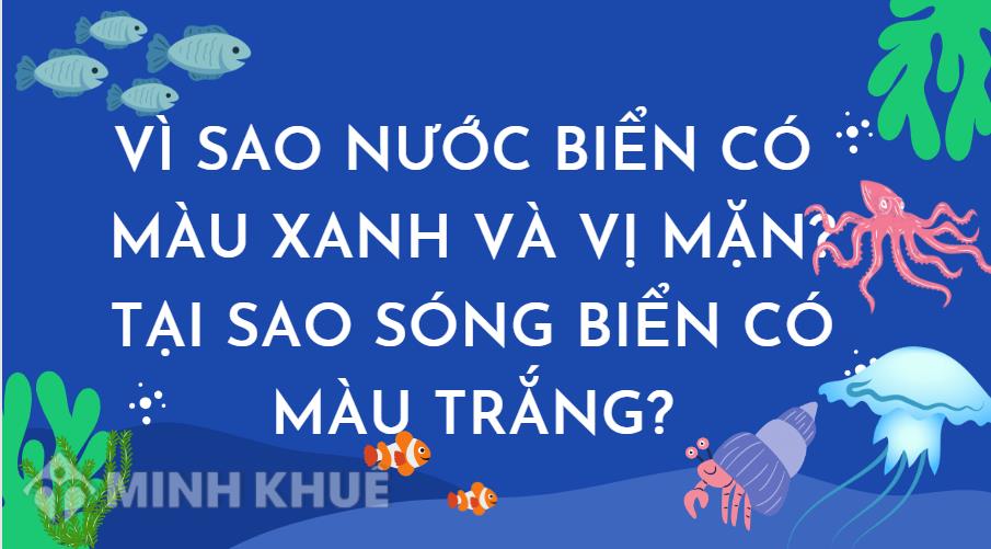 Vì sao nước biển có màu xanh và vị mặn? Tại sao sóng biển có màu trắng?