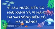 Vì sao nước biển có màu xanh và vị mặn? Tại sao sóng biển có màu trắng?