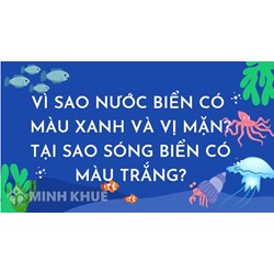 Vì sao nước biển có màu xanh và vị mặn? Tại sao sóng biển có màu trắng?