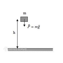 Thế năng là gì? Thế năng hấp dẫn là gì? Công thức tính thế năng trọng trường và đàn hồi