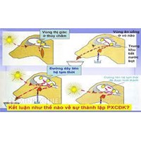 Ví dụ về phản xạ có điều kiện (Top 20 ví dụ hay nhất)